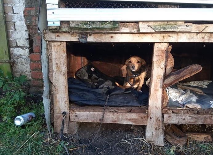 Gdy przedłużony łańcuch cieszy