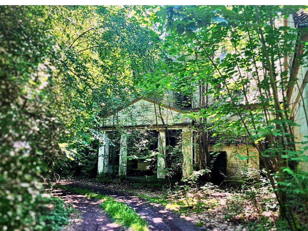 Klonowy Dwór, dawniej Höfen tonie w dziczejącej zieleni