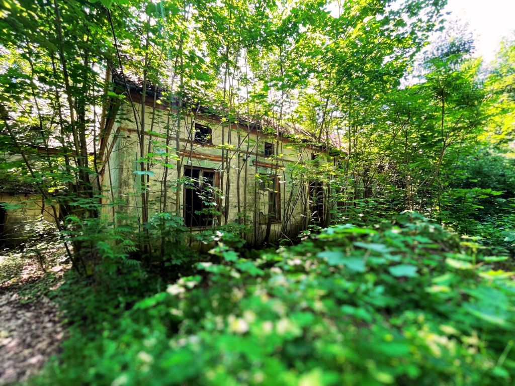 Klonowy Dwór, dawniej Höfen tonie w dziczejącej zieleni